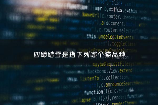 四蹄踏雪是指下列哪个猫品种 - 四蹄踏雪狸花猫图片