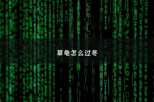 草龟怎么过冬 - 草龟怎么过冬眠