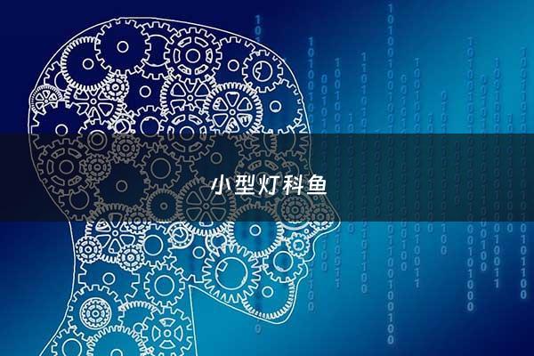 小型灯科鱼 - 小型灯科鱼什么鱼食最好