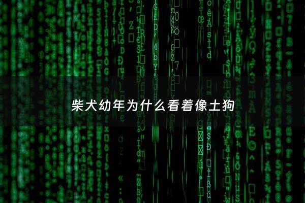 柴犬幼年为什么看着像土狗 - 为什么柴犬小时候那么丑
