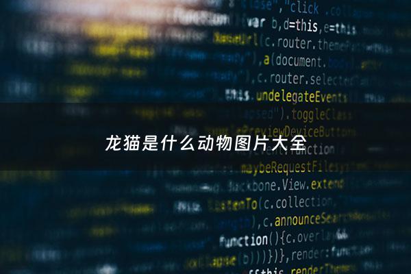 龙猫是什么动物图片大全 - 龙猫是什么猫啊?图片