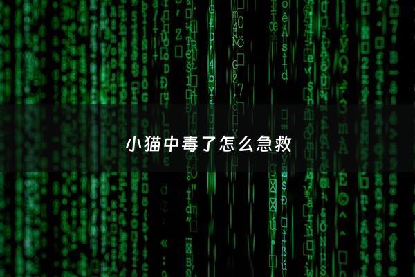小猫中毒了怎么急救 - 小猫中毒了怎么急救***