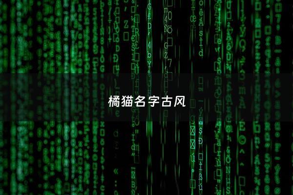 橘猫名字古风 - 橘猫的名字创意