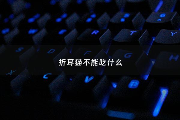 折耳猫不能吃什么 - 折耳猫能吃什么食物
