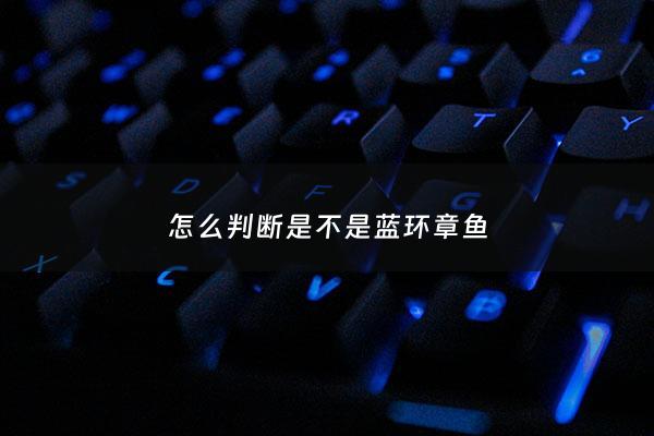 怎么判断是不是蓝环章鱼 - 有没有蓝环章鱼