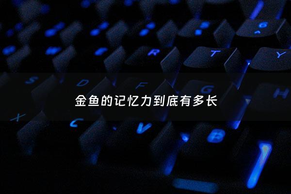 金鱼的记忆力到底有多长 - 金鱼的记忆力真的只有七秒钟吗?