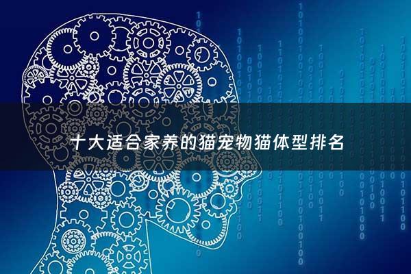 十大适合家养的猫宠物猫体型排名 - 适合家养得猫