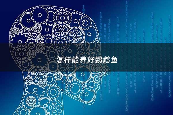 怎样能养好鹦鹉鱼 - 如何养好鹦鹉鱼,谁能一步一步教啊