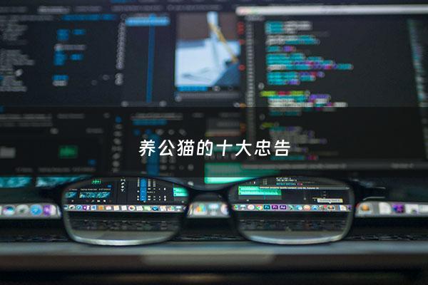 养公猫的十大忠告 - 养公猫要注意些什么