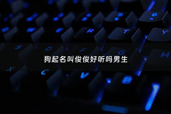 狗起名叫俊俊好听吗男生 - 俊介狗狗取名字