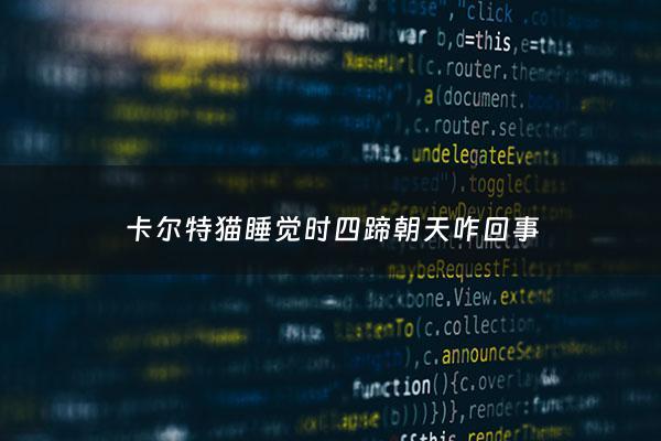 卡尔特猫睡觉时四蹄朝天咋回事 - 猫睡的四仰八叉还抖腿