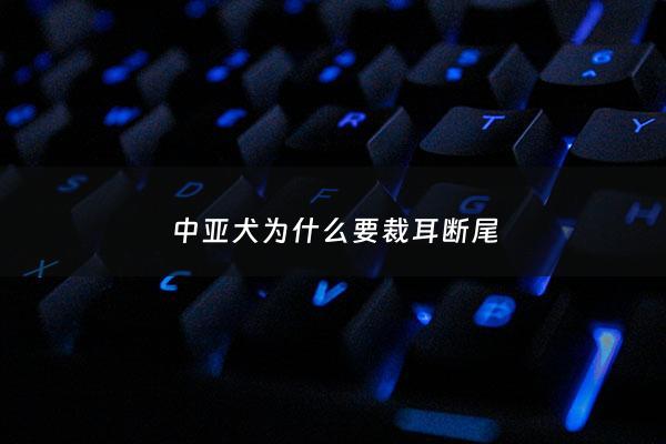 中亚犬为什么要裁耳断尾 - 中亚犬不剪耳是什么样