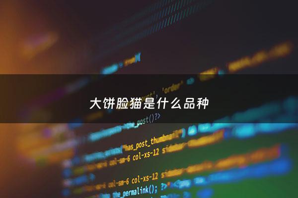 大饼脸猫是什么品种 - 大饼脸猫***一只