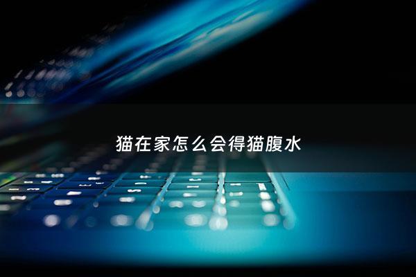 猫在家怎么会得猫腹水 - 猫为什么会得腹水症