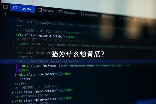猫为什么怕黄瓜? - 猫为什么怕黄瓜是真的吗