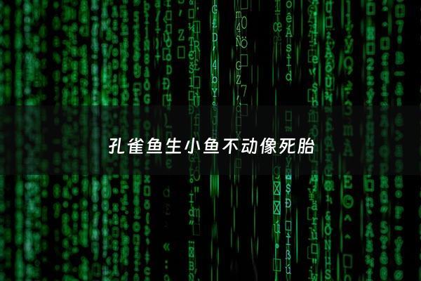 孔雀鱼生小鱼不动像死胎 - 孔雀鱼生小鱼小鱼不动