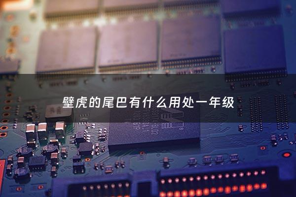 壁虎的尾巴有什么用处一年级 - 壁虎的尾巴的本领