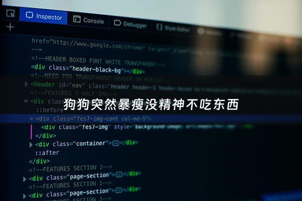 狗狗突然暴瘦没精神不吃东西 - 狗狗突然不吃东西暴瘦是什么原因