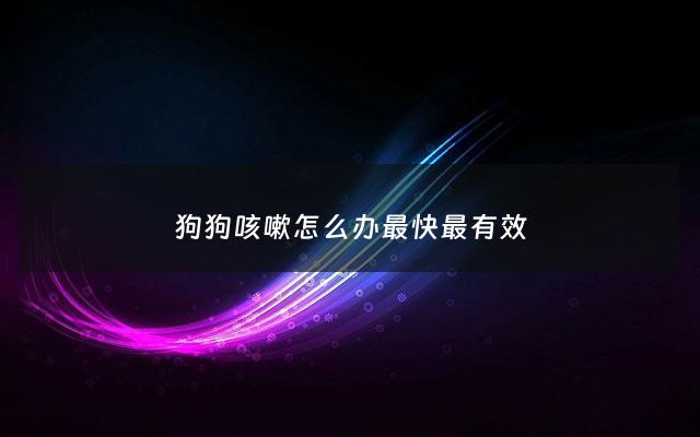 狗狗咳嗽怎么办最快最有效 - 狗狗咳嗽了怎么办吃什么药