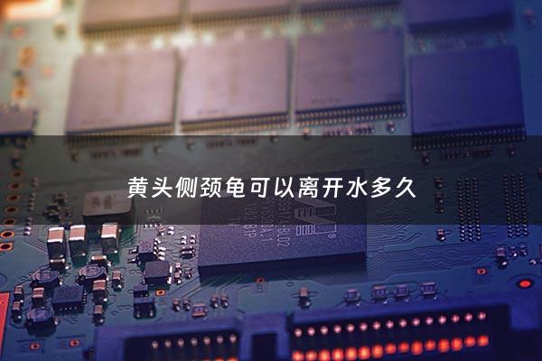 黄头侧颈龟可以离开水多久 - 黄头侧颈龟能闭壳吗
