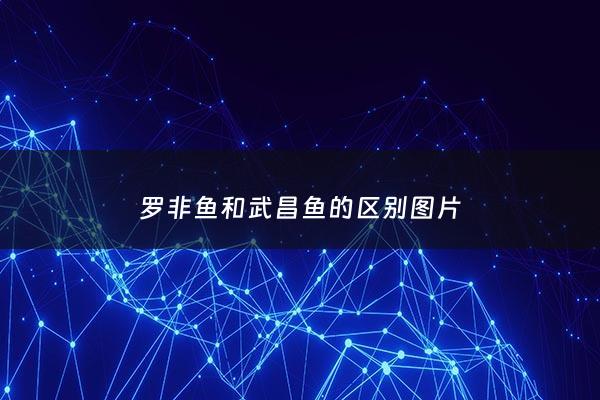 罗非鱼和武昌鱼的区别图片 - 武昌和罗非鱼哪个刺少