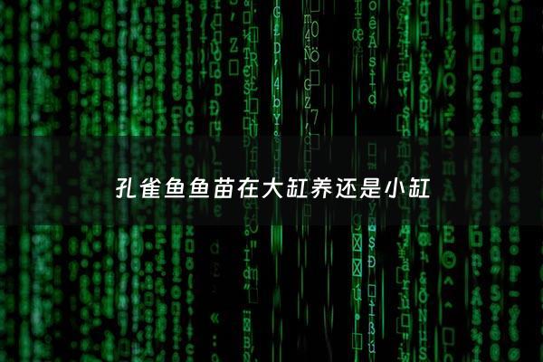 孔雀鱼鱼苗在大缸养还是小缸 - 孔雀鱼小鱼苗放在哪里养