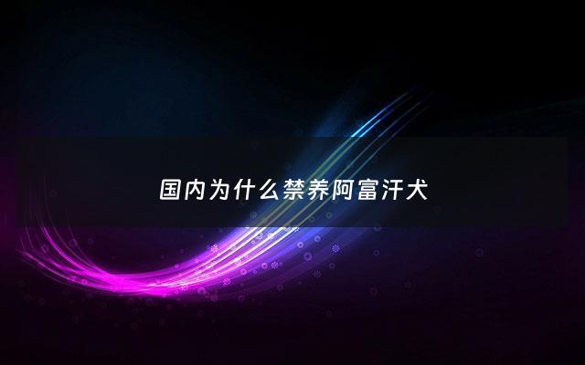 国内为什么禁养阿富汗犬 - 为什么国内不准养阿富汗犬