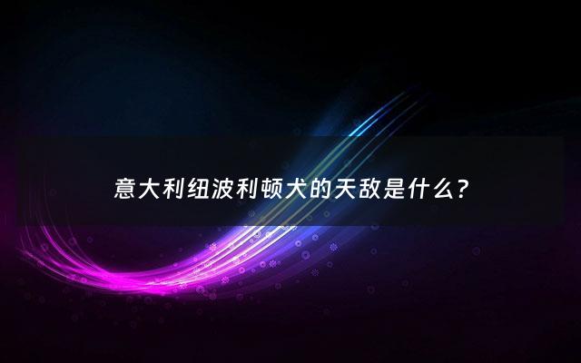 意大利纽波利顿犬的天敌是什么? - 纽波利顿犬凶吗