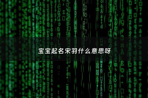 宝宝起名宋羽什么意思呀 - 宋湲羽毛球运动员图片