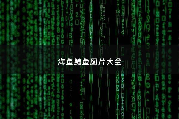 海鱼鳊鱼图片大全 - 海鲡鱼的图片