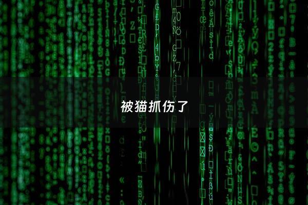 被猫抓伤了 - 被猫抓伤了表皮出了一点血怎么办