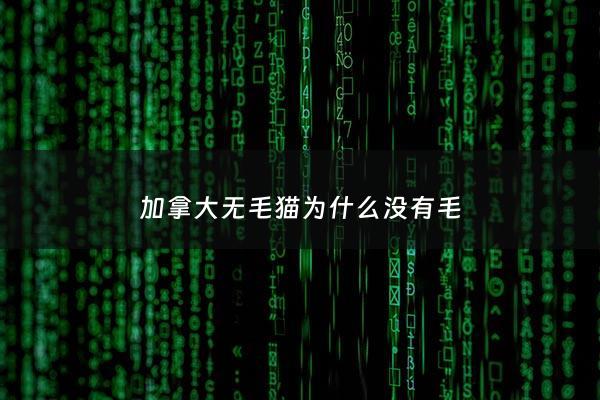 加拿大无毛猫为什么没有毛 - 加拿大没有毛的猫