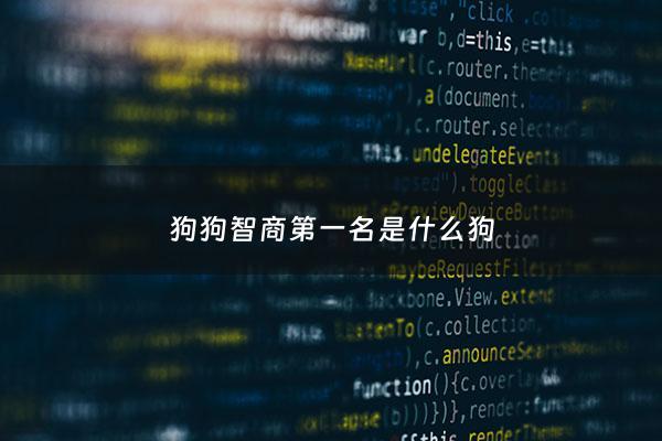 狗狗智商第一名是什么狗 - 狗狗智商排第一的是什么狗
