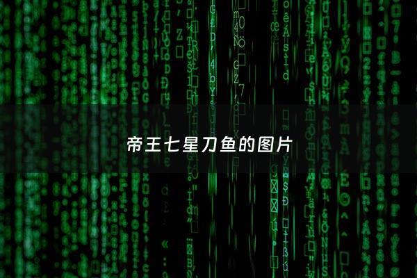帝王七星刀鱼的图片 - 七星刀鱼厉害吗
