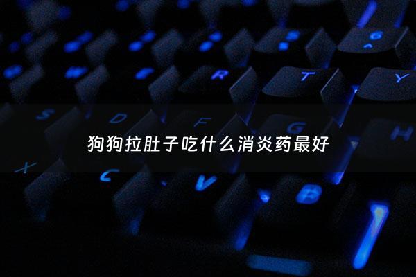 狗狗拉肚子吃什么消炎药最好 - 狗狗拉肚子用什么消炎药