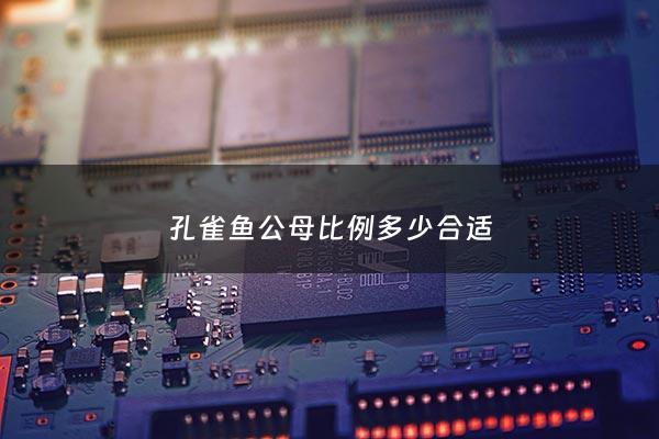 孔雀鱼公母比例多少合适 - 孔雀鱼公鱼与母鱼比例