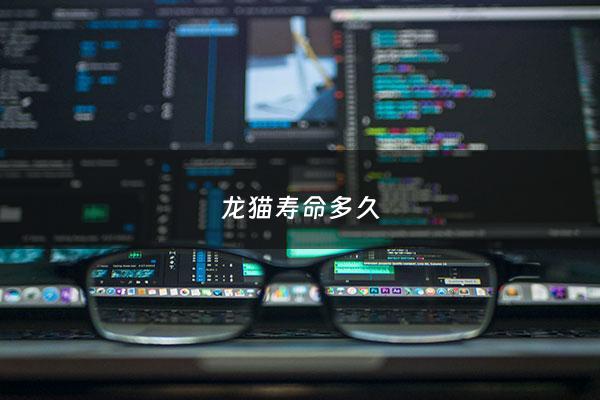 龙猫寿命多久 - 龙猫的寿命一般有多久