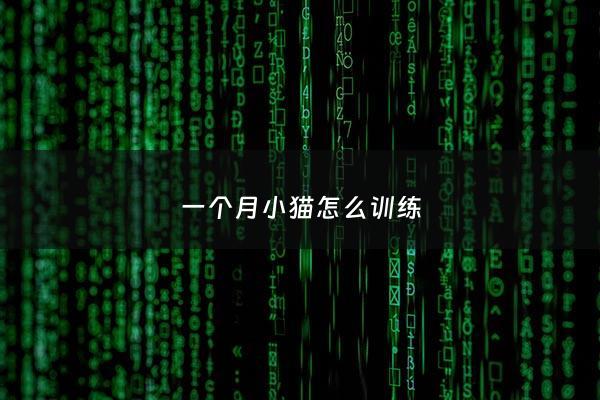 一个月小猫怎么训练 - 一个月的小猫怎么培养感情