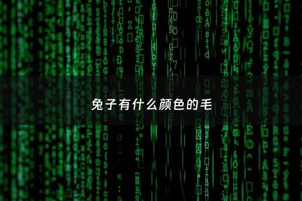 兔子有什么颜色的毛 - 兔子有几种毛色