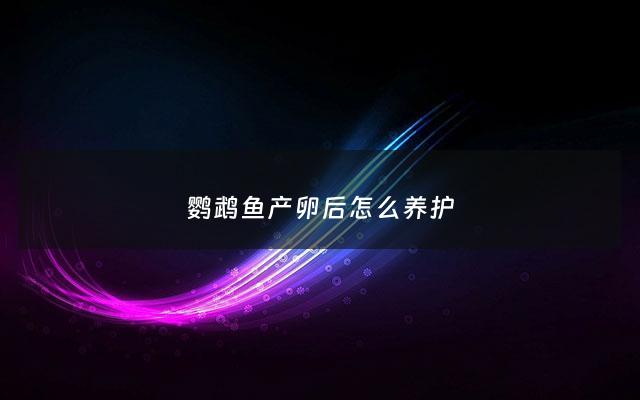 鹦鹉鱼产卵后怎么养护 - 鹦鹉鱼产卵多长时间结束