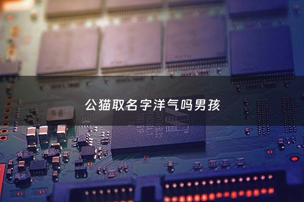 公猫取名字洋气吗男孩 - 公猫 取名