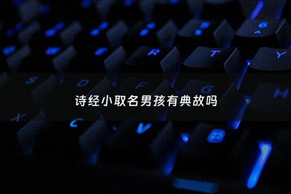 诗经小取名男孩有典故吗 - 诗经小取名男孩有典故吗为什么