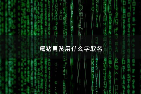属猪男孩用什么字取名 - 属猪的男孩取什么名字最好