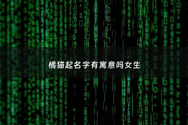 橘猫起名字有寓意吗女生 - 橘猫取名叫什么好
