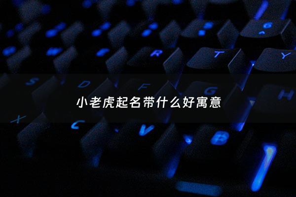 小老虎起名带什么好寓意 - 小老虎的名字有哪些