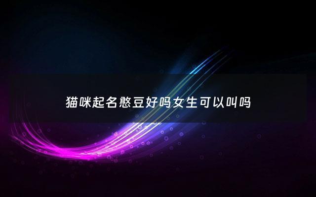 猫咪起名憨豆好吗女生可以叫吗 - 猫咪很逗的名字