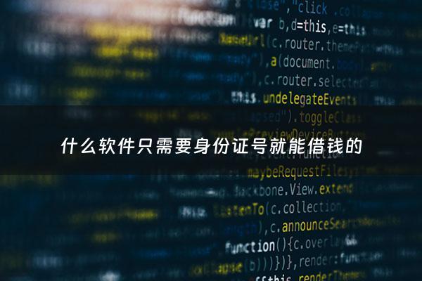 什么软件只需要身份证号就能借钱的