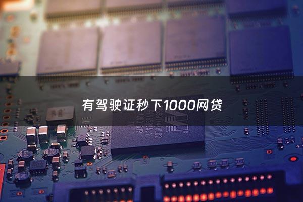 有驾驶证秒下1000网贷 - 14天短期借款1000元