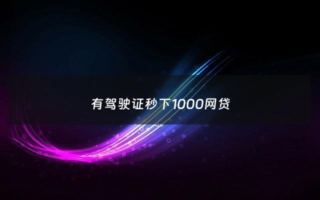 有驾驶证秒下1000网贷 - 凭驾驶证的网贷